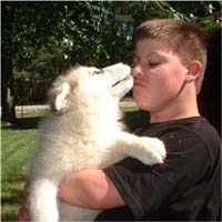 Hudson's Malamutes - Alex with Hudsons Alaskan Malamute puppies