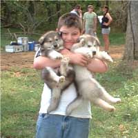 Hudson's Malamutes - Alex with Nyga puppies at the movie Sparkle and Tooter