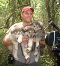 Hudson's Malamutes - Josh Shreve (Director of Photography) with Hudson's Puppies at the movie Sparkle and Tooter 