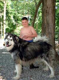 Hudons Malamutes - Alex with Sumo