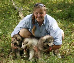 Hudson's Malamutes - Sparkle and Tooter - Jolene with puppies prior to filming