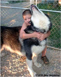 Hudons Malamutes - Alex with Thumper