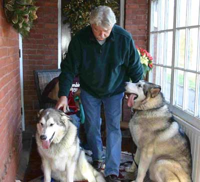 Hudons Malamutes - Thor & Athena