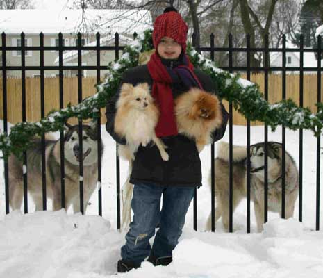 Hudons Malamutes - Thor & Athena
