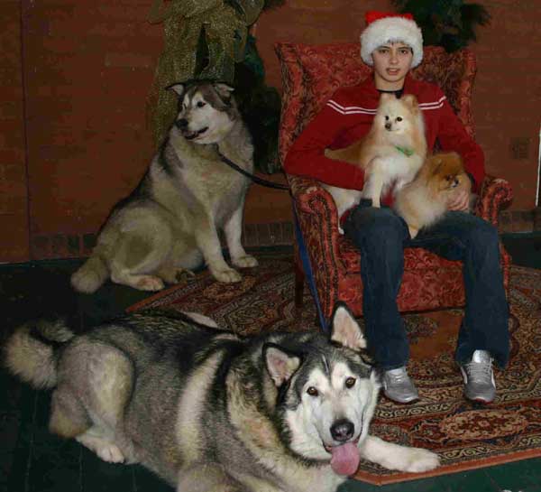 Hudons Malamutes - Thor & Athena