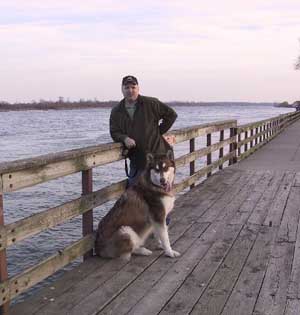 Hudsons Malamutes - Yogi