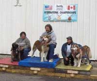Hudons Malamutes - Cinnabar