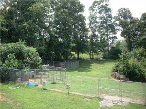 Hudsons Malamutes Spacious Clean Kennels - Husky Kennels