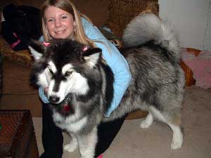 Hudons Malamutes - Kina